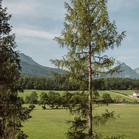 Hoamhaus Apartment Saint Wolfgang Екстериор снимка