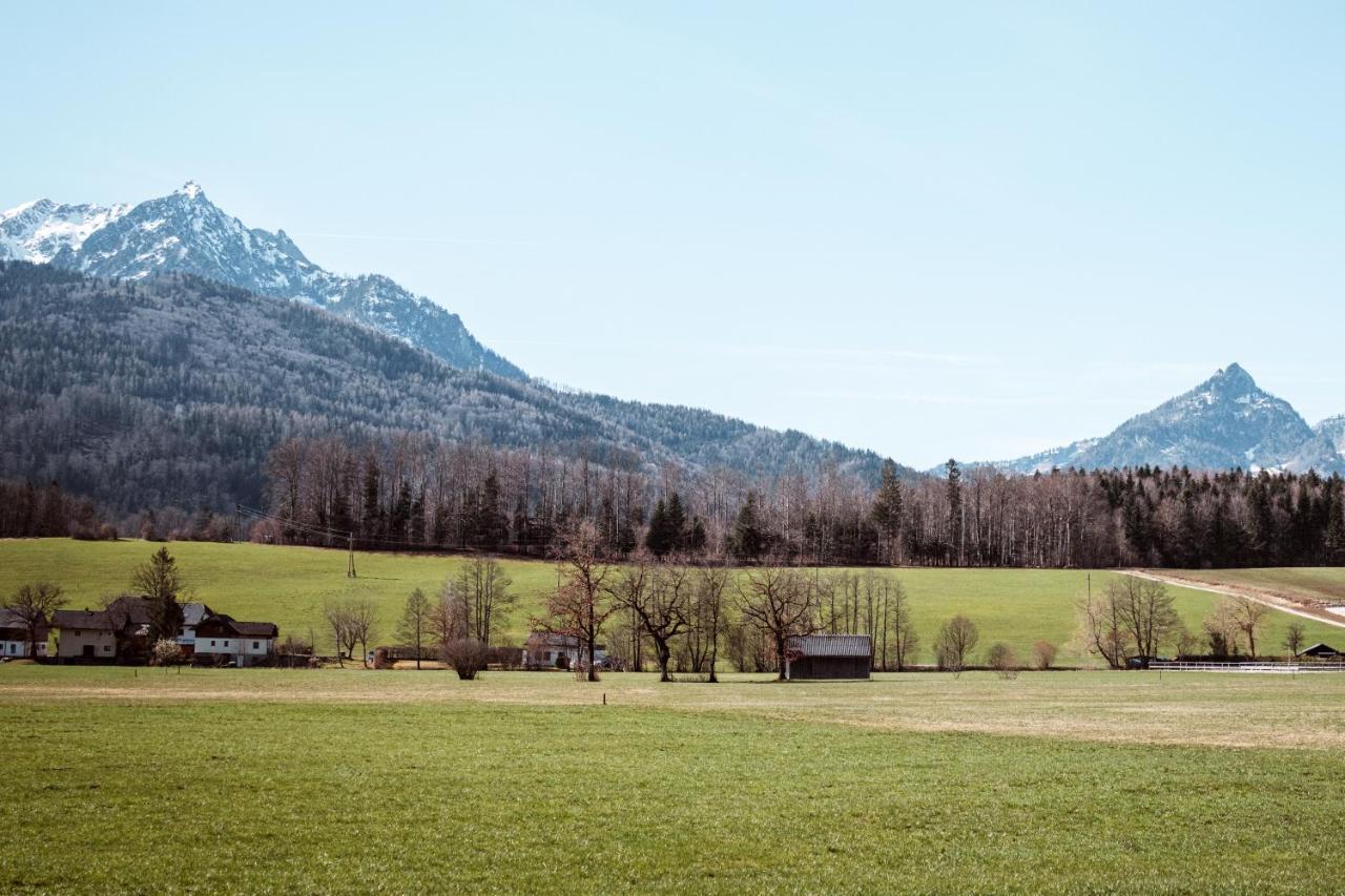Hoamhaus Apartment Saint Wolfgang Екстериор снимка