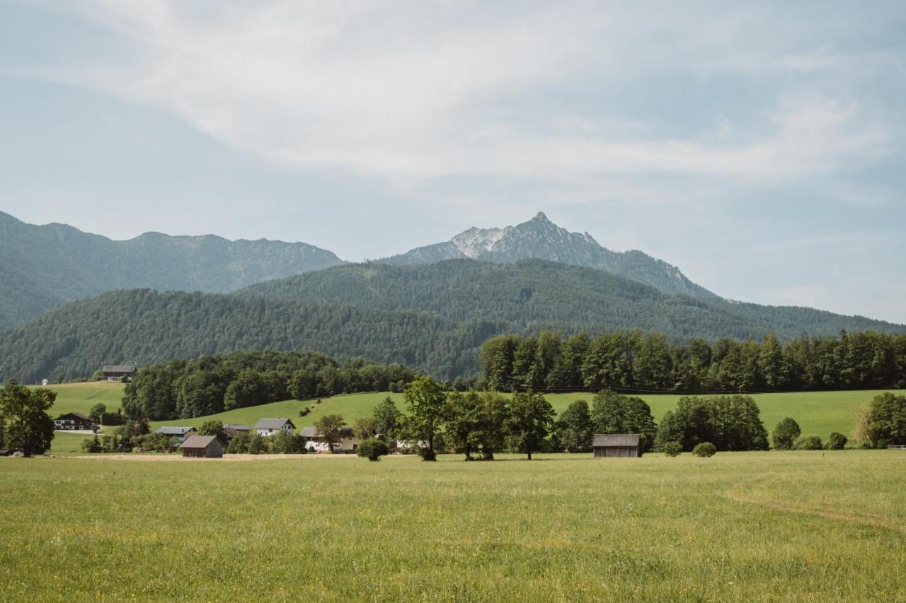 Hoamhaus Apartment Saint Wolfgang Екстериор снимка